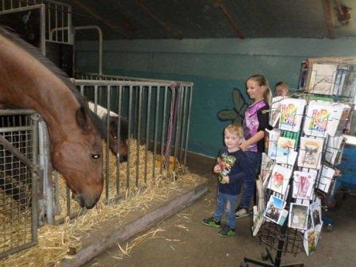 Snuffelen en Paarden knuffelen bij `t Olde manegepeerd - Foto: Eigen geleverde foto