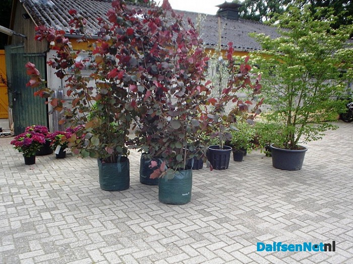Open dag Hartkamp Groen Totaal