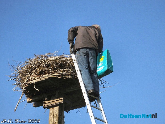 Jonge ooievaar Hoonhorst geringd. - Foto: H.G. Foto