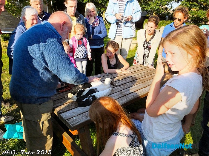 Jonge ooievaar Hoonhorst geringd. - Foto: H.G. Foto