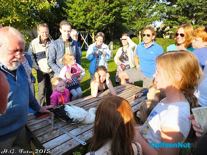Jonge ooievaar Hoonhorst geringd. - Foto: H.G. Foto