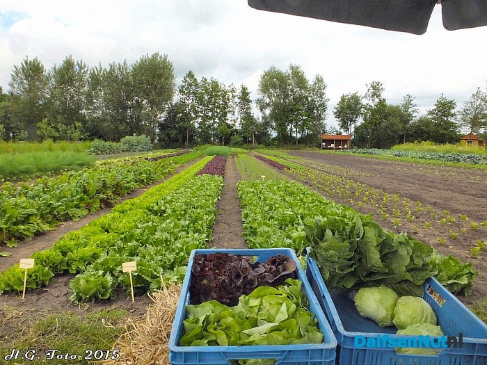 Tien jaar bestaan Landjuweel de Hoeven. - Foto: H.G. Foto