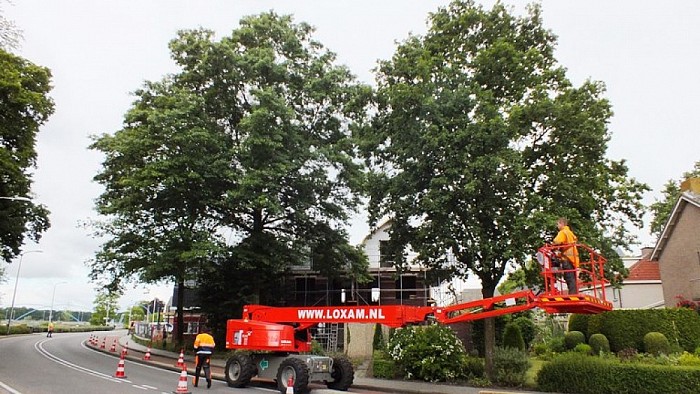 Kap van bomen aan de rondweg - Foto: Eigen geleverde foto