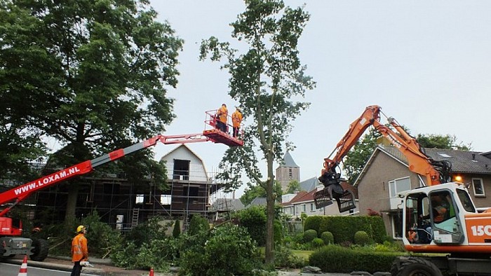 Kap van bomen aan de rondweg - Foto: Eigen geleverde foto