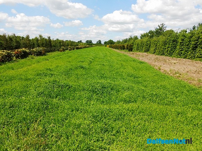 Wolvarkens flink aan de bak