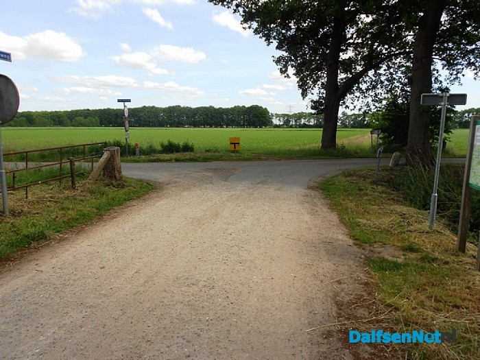Ze fietsen door de Sterrebosweg