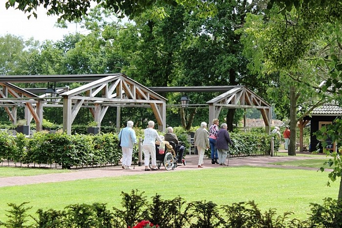 Zonnebloem in de watten bij Imminkhoeve - Foto: Eigen geleverde foto