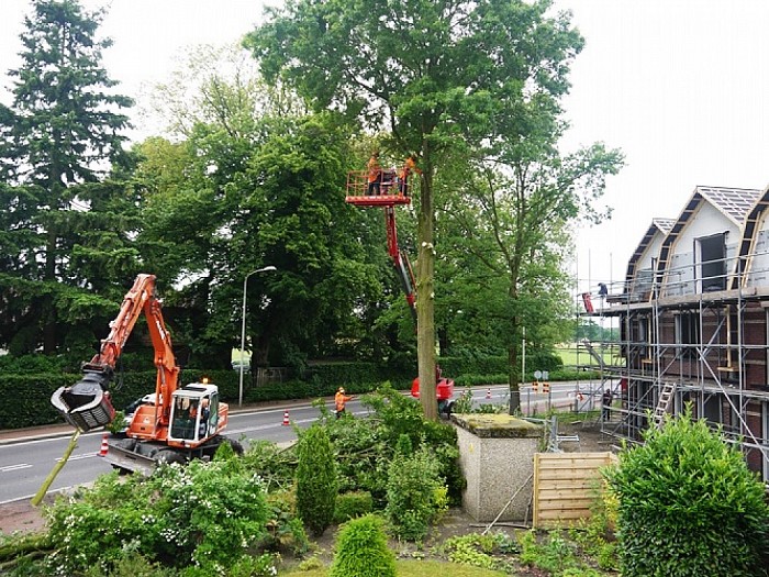 Kap van bomen aan de rondweg - Foto: Eigen geleverde foto