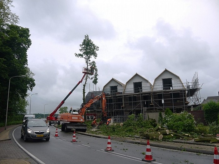 Kap van bomen aan de rondweg - Foto: Eigen geleverde foto
