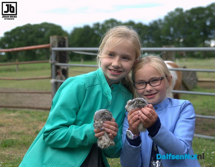 Tien uilen geringd op drie locaties door vogelwerkgroep Hoonhorst - Foto: Johan Bokma