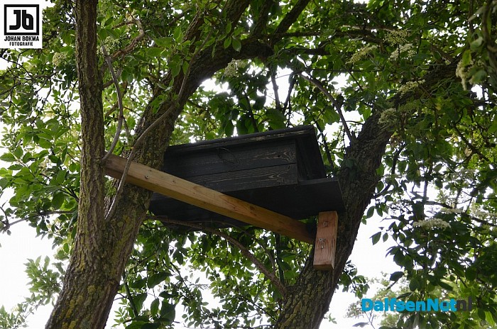 Tien uilen geringd op drie locaties door vogelwerkgroep Hoonhorst - Foto: Johan Bokma