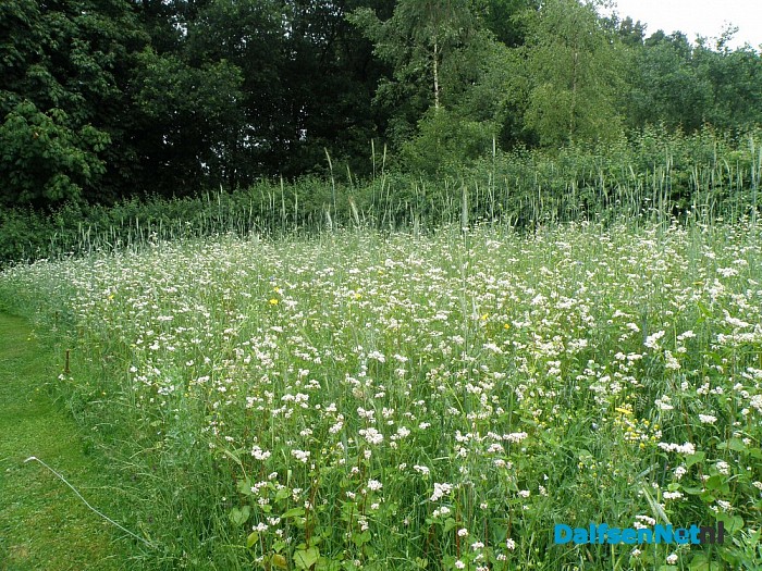Mijn Natuurakker in Dalfsen - Foto: Eigen geleverde foto