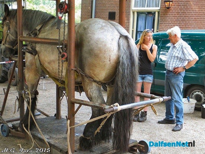 Vilsteren bruist een succes. - Foto: H.G. Foto