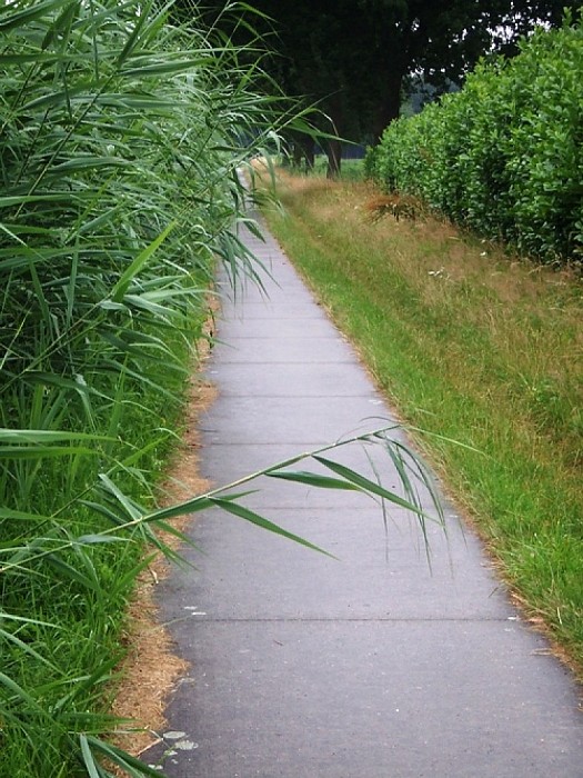 Zijn de bermmaaiers al op vakantie? - Foto: Wim