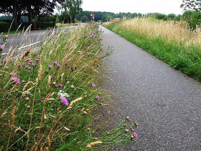Zijn de bermmaaiers al op vakantie? - Foto: Wim