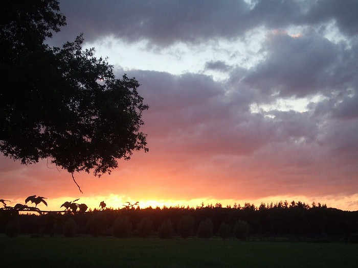Avondrood blijft mooi - Foto: Wim