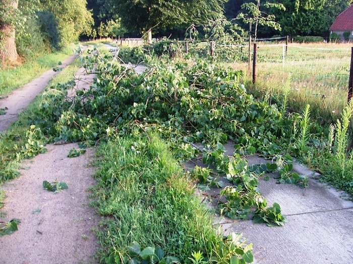 The day after the storm - Foto: Wim
