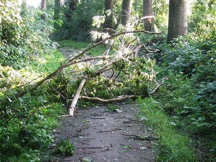 The day after the storm - Foto: Wim