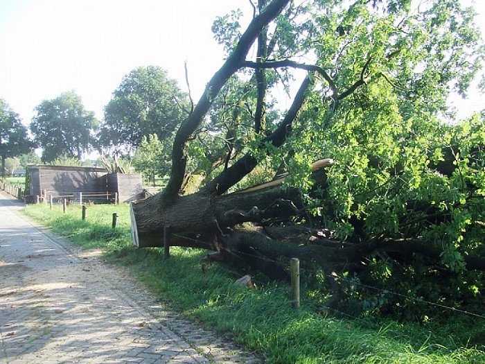The day after the storm - Foto: Wim