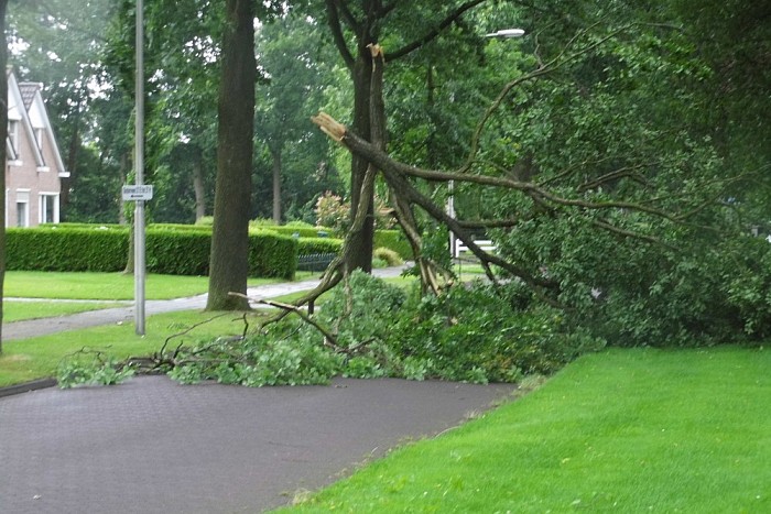 Storm spaart ook gemeente Dalfsen niet - Foto: Eigen geleverde foto