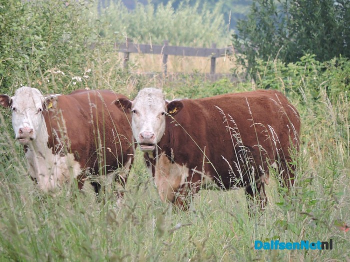 De natuur ontwaakt