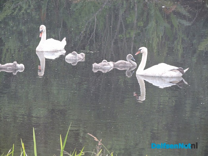 De natuur ontwaakt