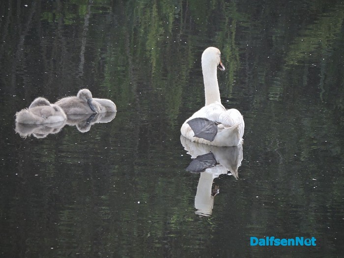 De natuur ontwaakt