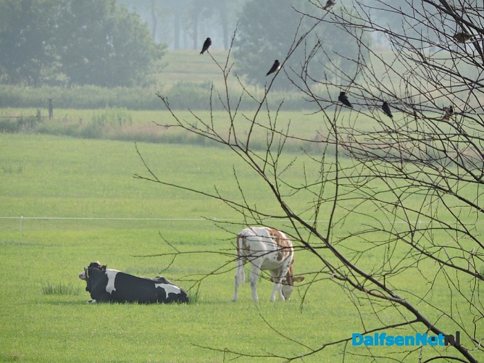 De natuur ontwaakt