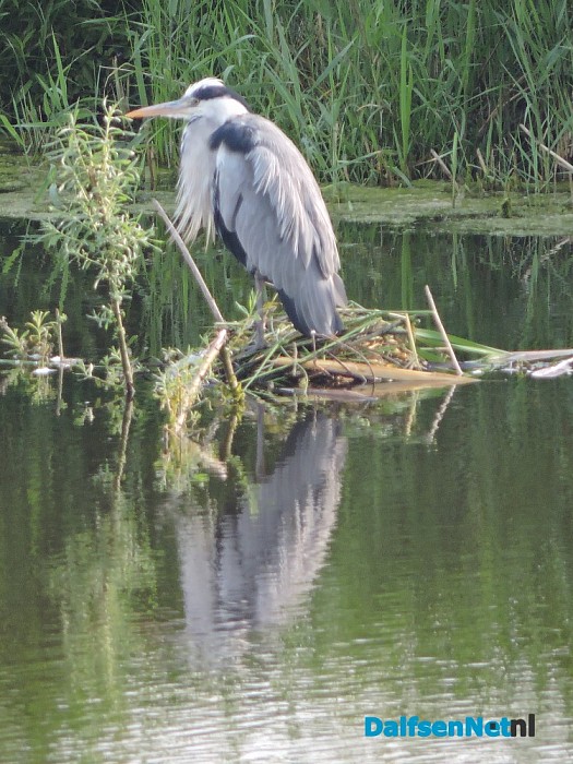 De natuur ontwaakt