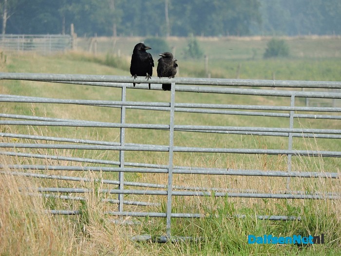 De natuur ontwaakt