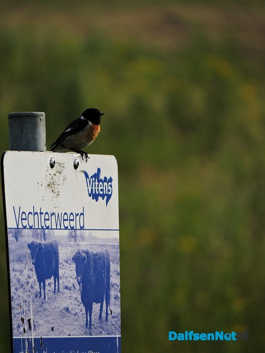 De natuur ontwaakt