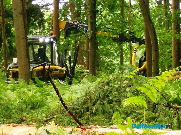 Bomen happen