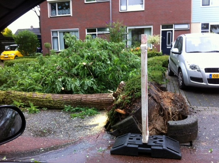Storm spaart ook gemeente Dalfsen niet - Foto: Eigen geleverde foto
