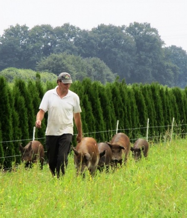 Nieuw en Duurzaam: Landworst uut Hoonhorst - Foto: Eigen geleverde foto