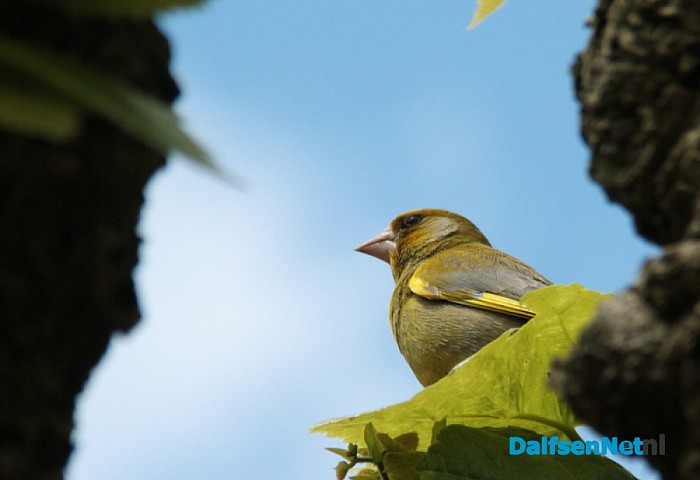 Douwe Reitsma maakt prachtige natuurfoto’s