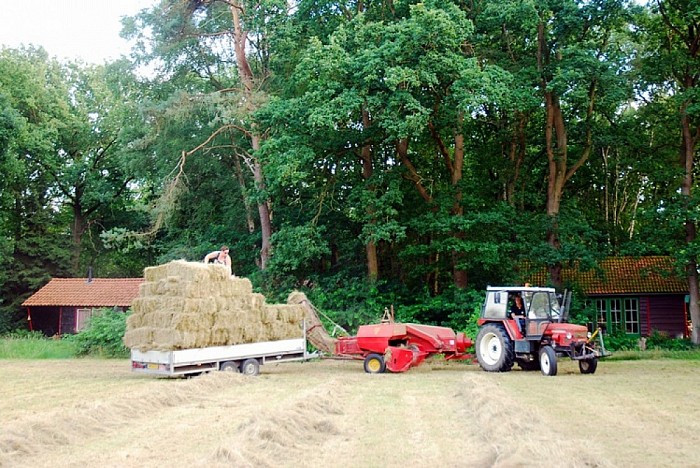 Vakantie in eigen land - Foto: Eigen geleverde foto