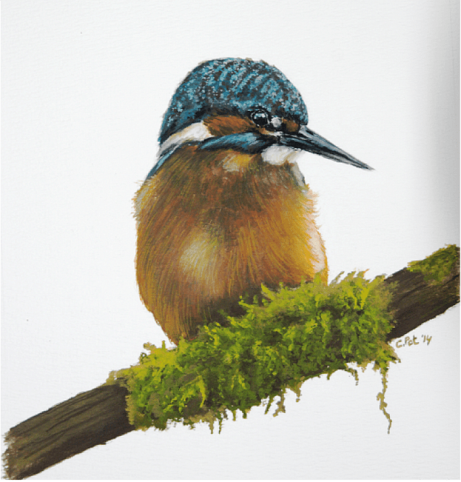 Gevarieerde expositie in molenschuur van Fakkert - Foto: Eigen geleverde foto