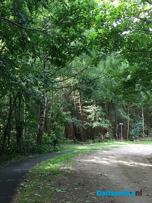 Lange ladder gevonden in bos