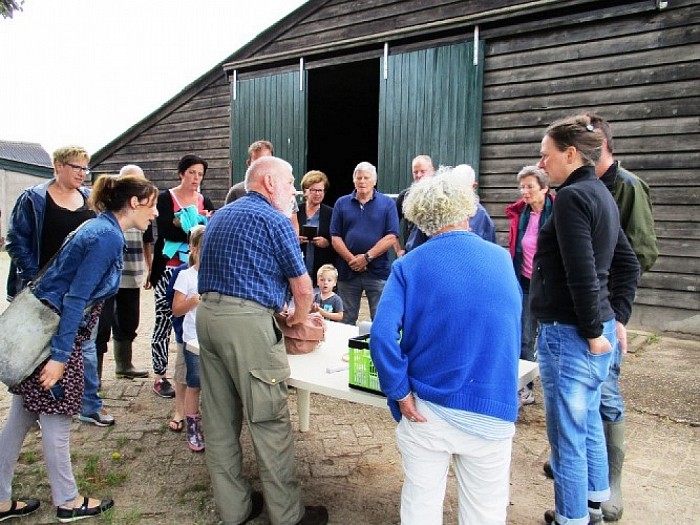 Kerkuilen en torenvalken geringd - Foto: Eigen geleverde foto