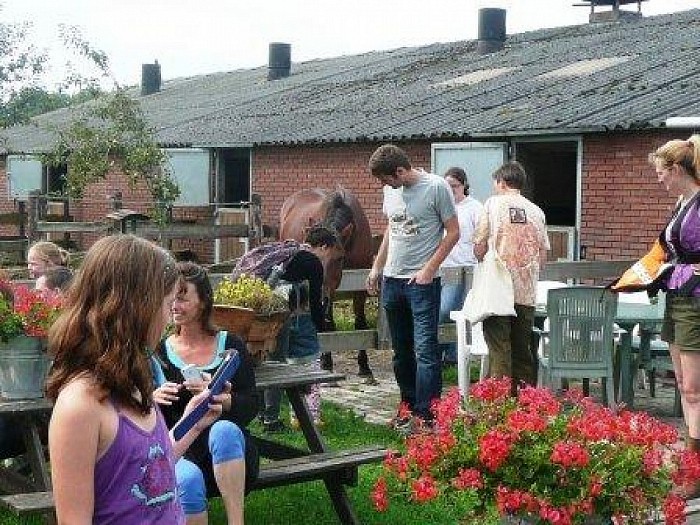 Snuffelmarkt en paarden knuffelen - Foto: Eigen geleverde foto