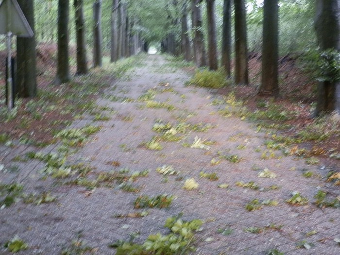 Storm spaart ook gemeente Dalfsen niet - Foto: Wim