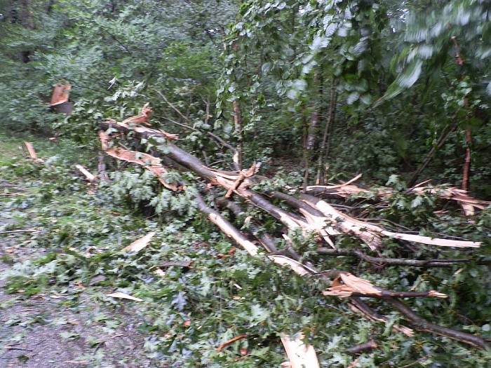 Storm spaart ook gemeente Dalfsen niet - Foto: Wim