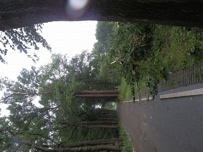 Storm spaart ook gemeente Dalfsen niet - Foto: Wim