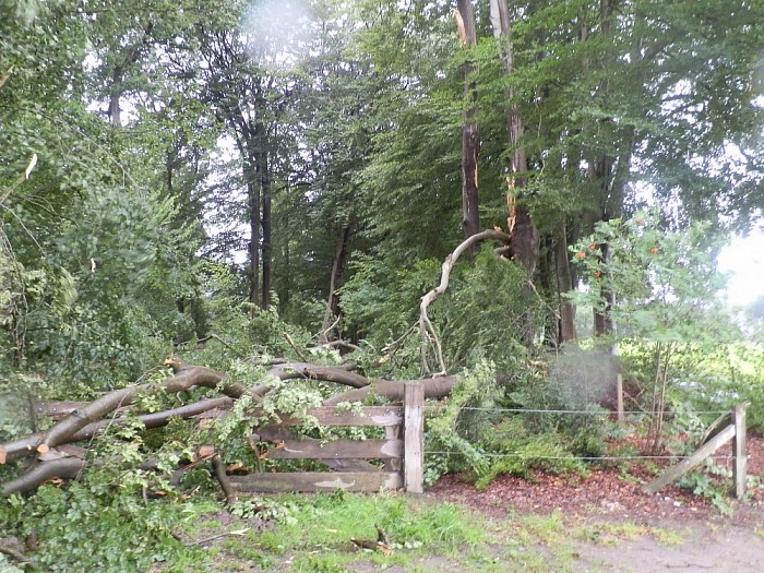 Storm spaart ook gemeente Dalfsen niet - Foto: Wim