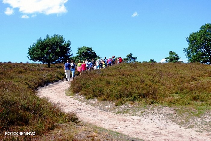 Op Stap – met de schaapherder op de Lemelerberg - Foto: Eigen geleverde foto