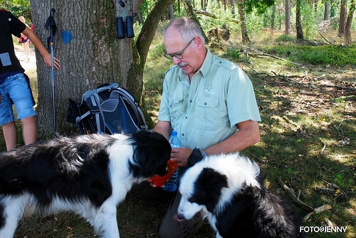 Op Stap – met de schaapherder op de Lemelerberg - Foto: Eigen geleverde foto