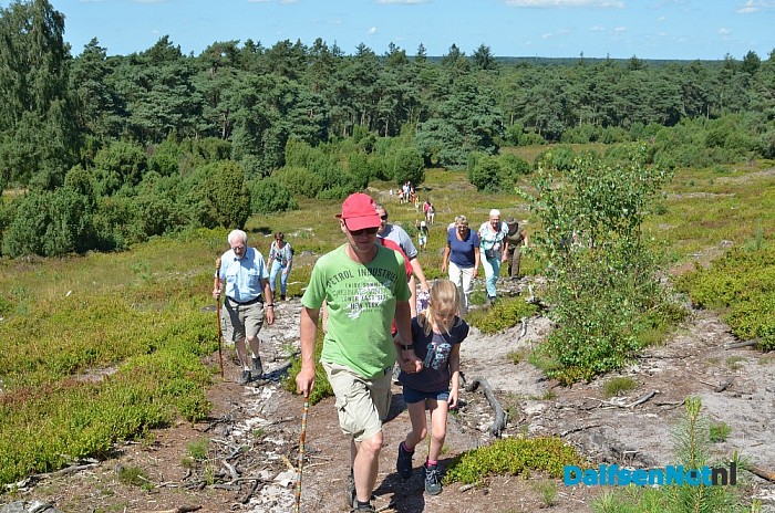 Op Stap – met de schaapherder op de Lemelerberg - Foto: Johan Bokma