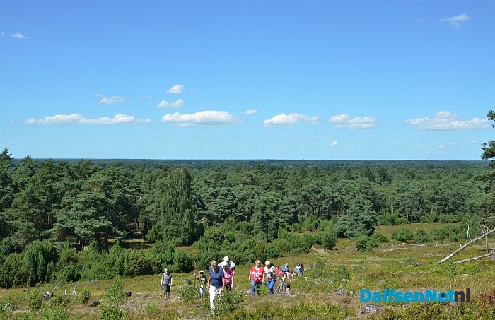 Op Stap – met de schaapherder op de Lemelerberg - Foto: Johan Bokma