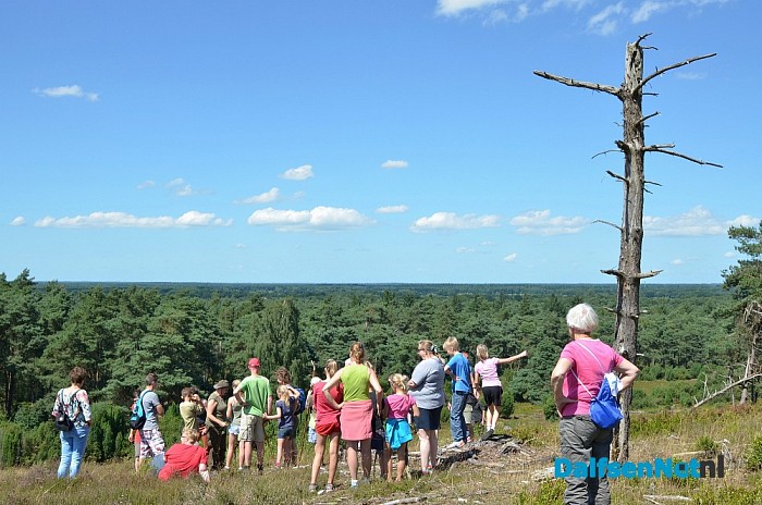 Op Stap – met de schaapherder op de Lemelerberg - Foto: Johan Bokma