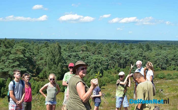 Op Stap – met de schaapherder op de Lemelerberg - Foto: Johan Bokma